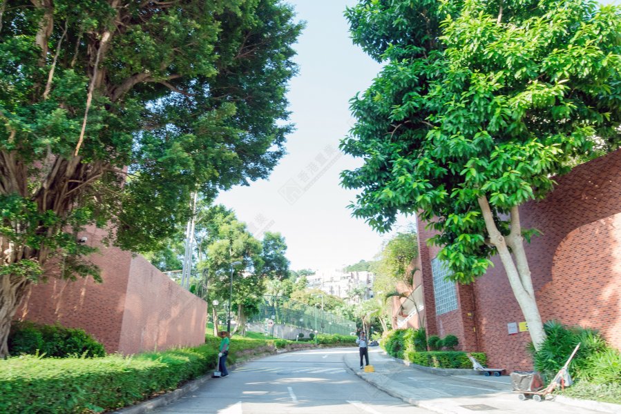 翡翠花园 大埔 屋苑专页 香港置业